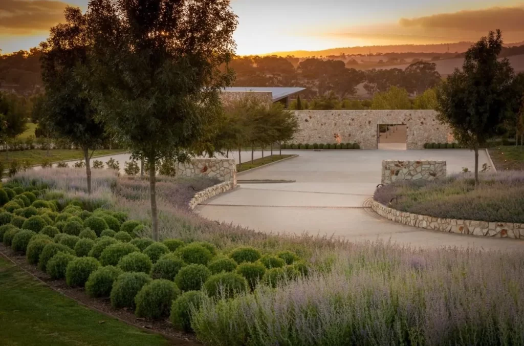 First Grapevines in Australia