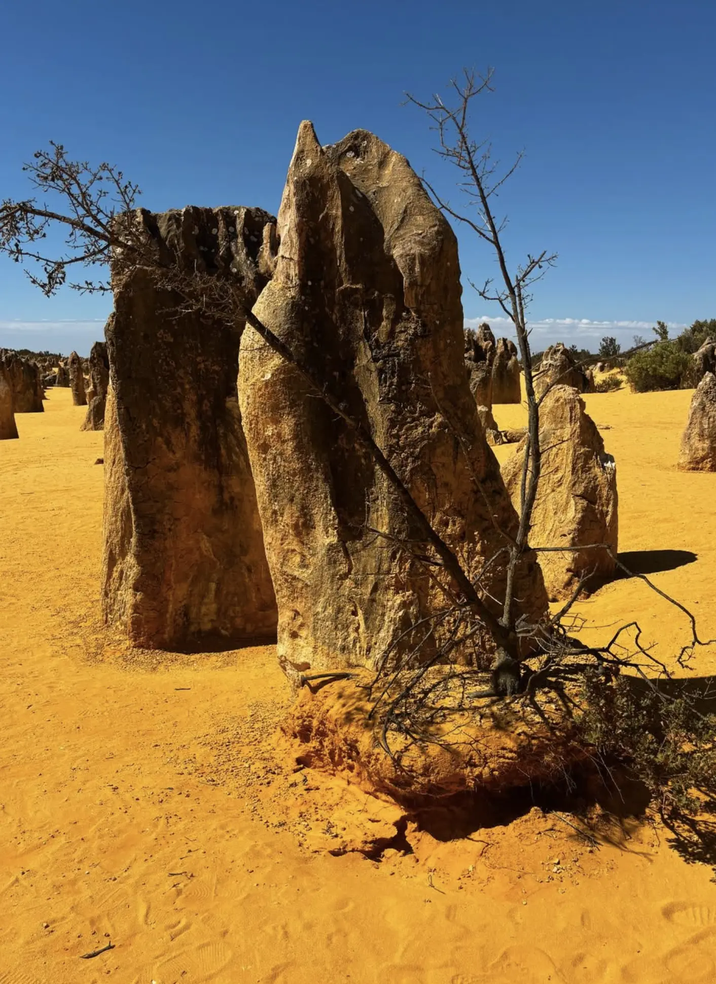 The Pinnacles of Australia Location, History, and Things to Do