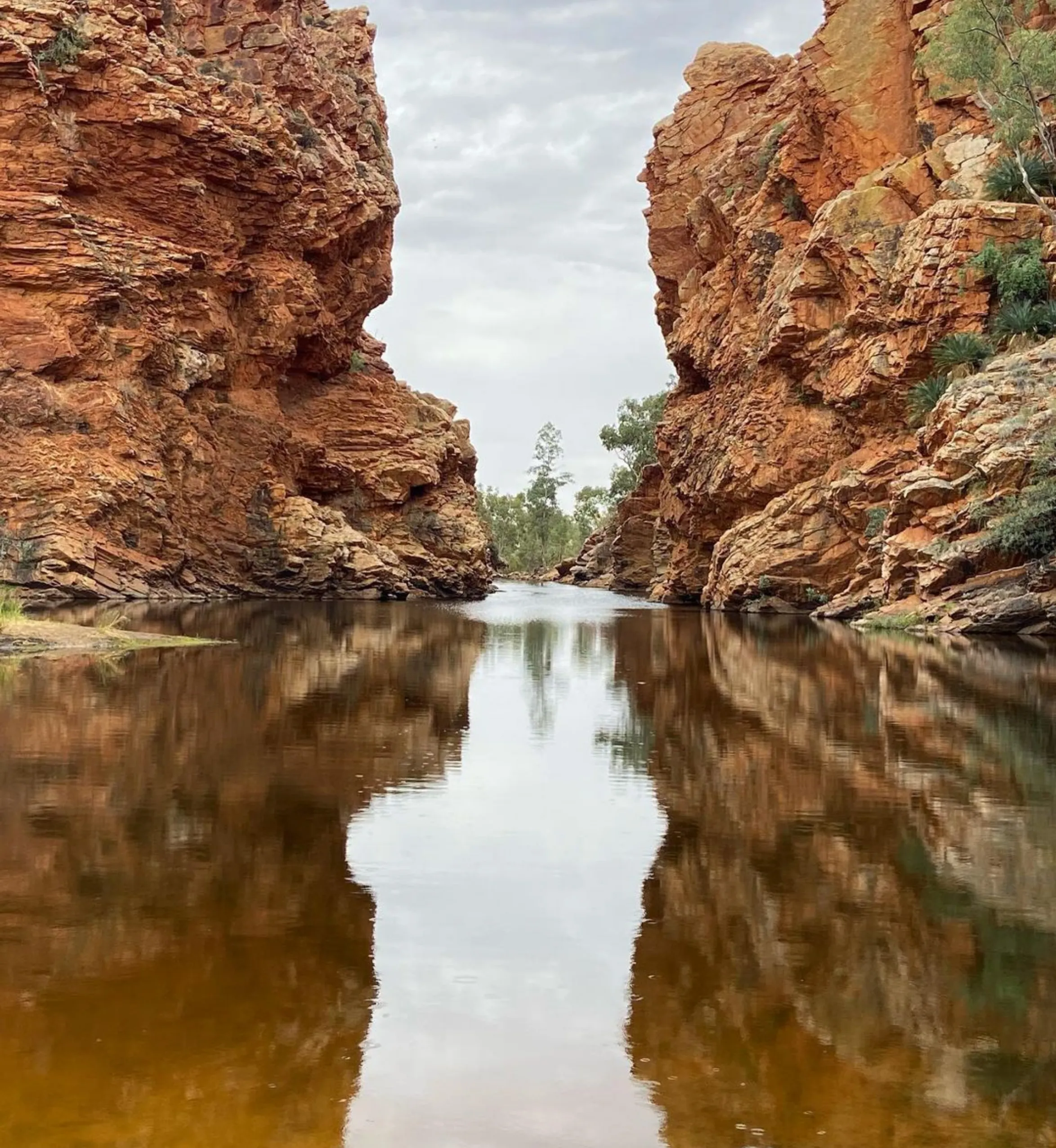 cliffs, Larapinta