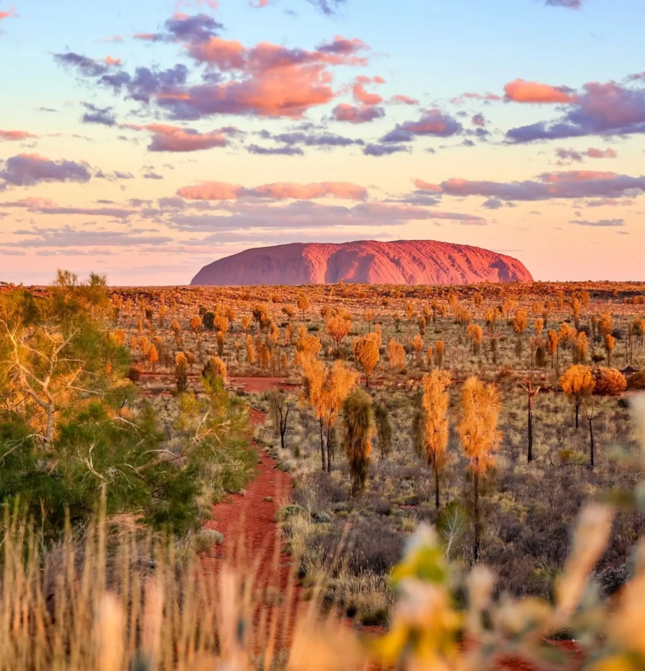 Cultural Centre, Uluru