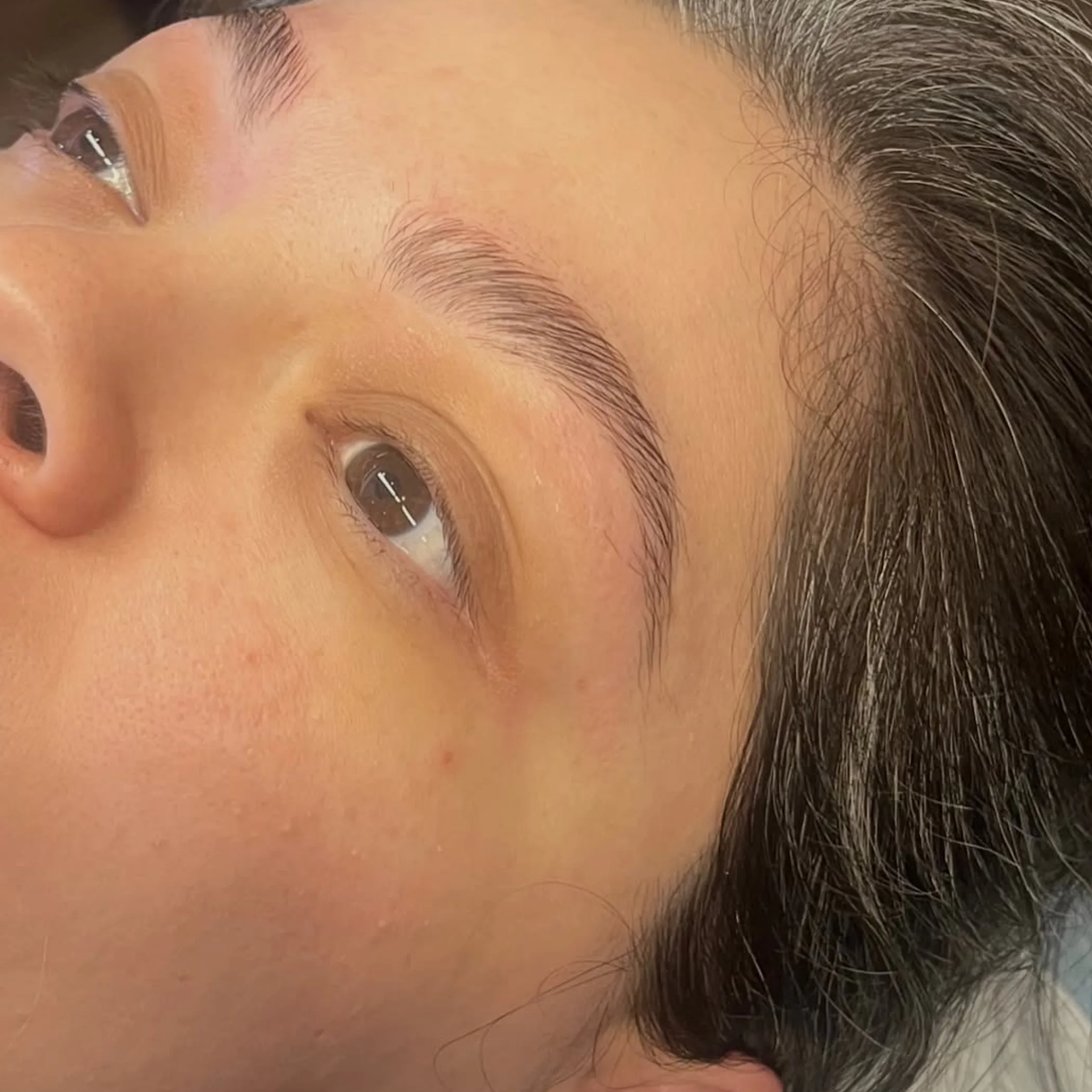 close-up of laminated eyebrows
