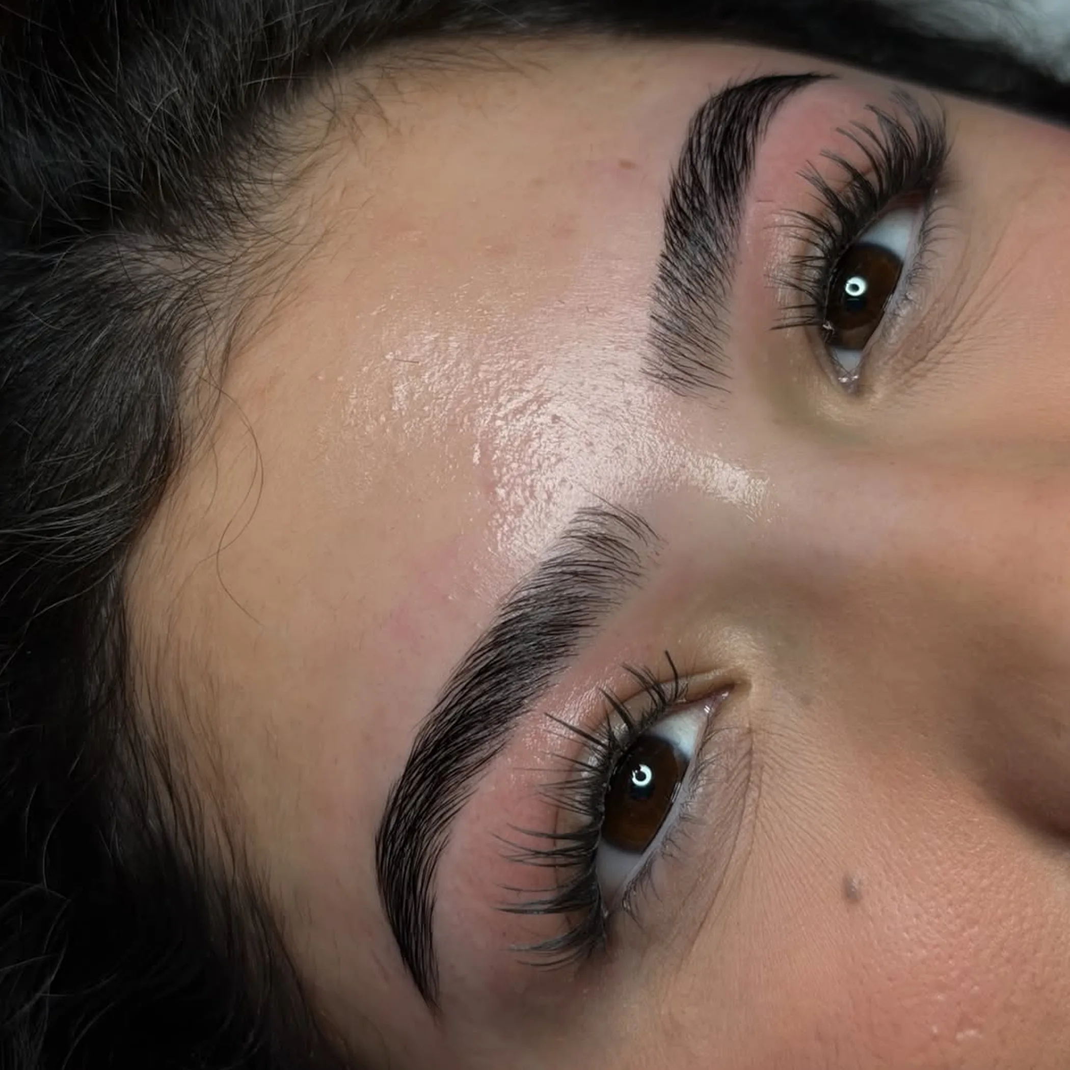 close-up of laminated eyebrows
