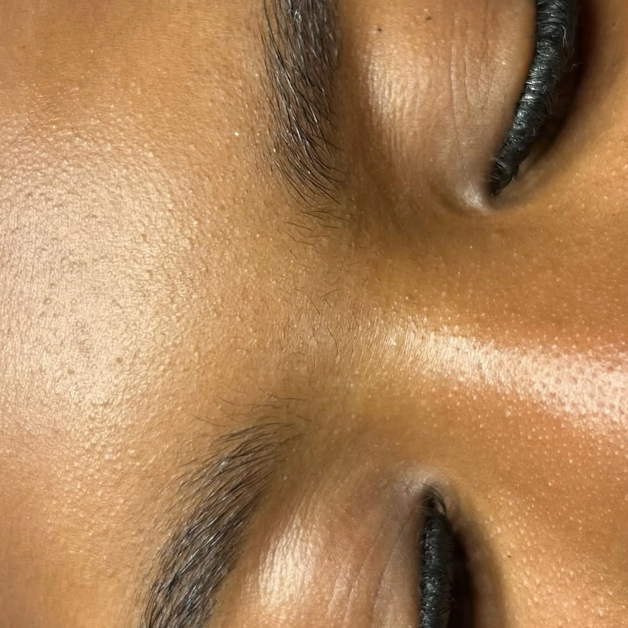 close-up of laminated eyebrows