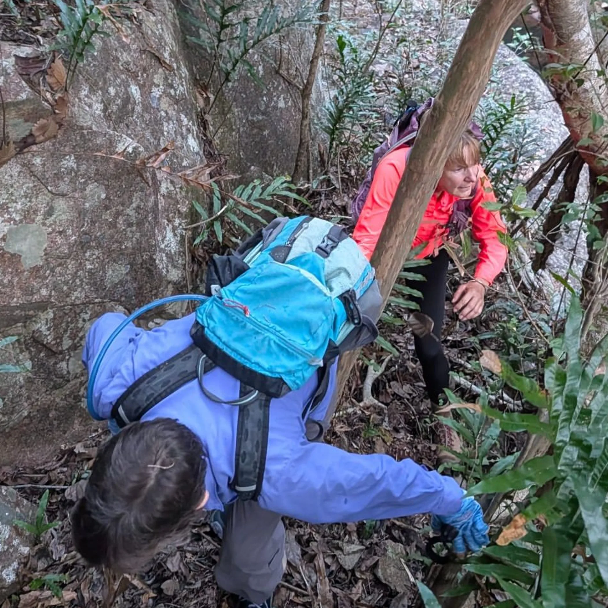 off-track hiking safety scene
