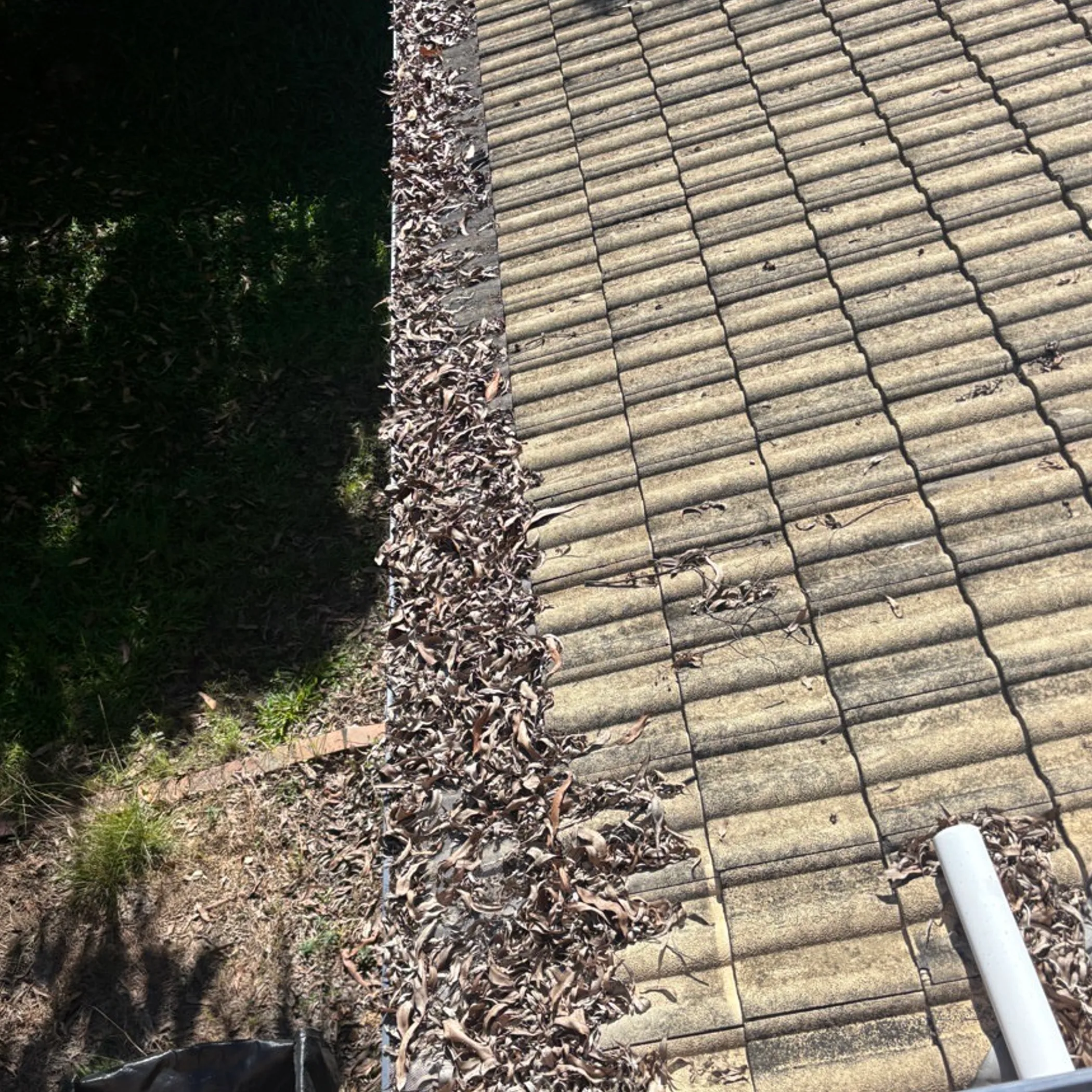 seasonal leaf fall and gutter maintenance