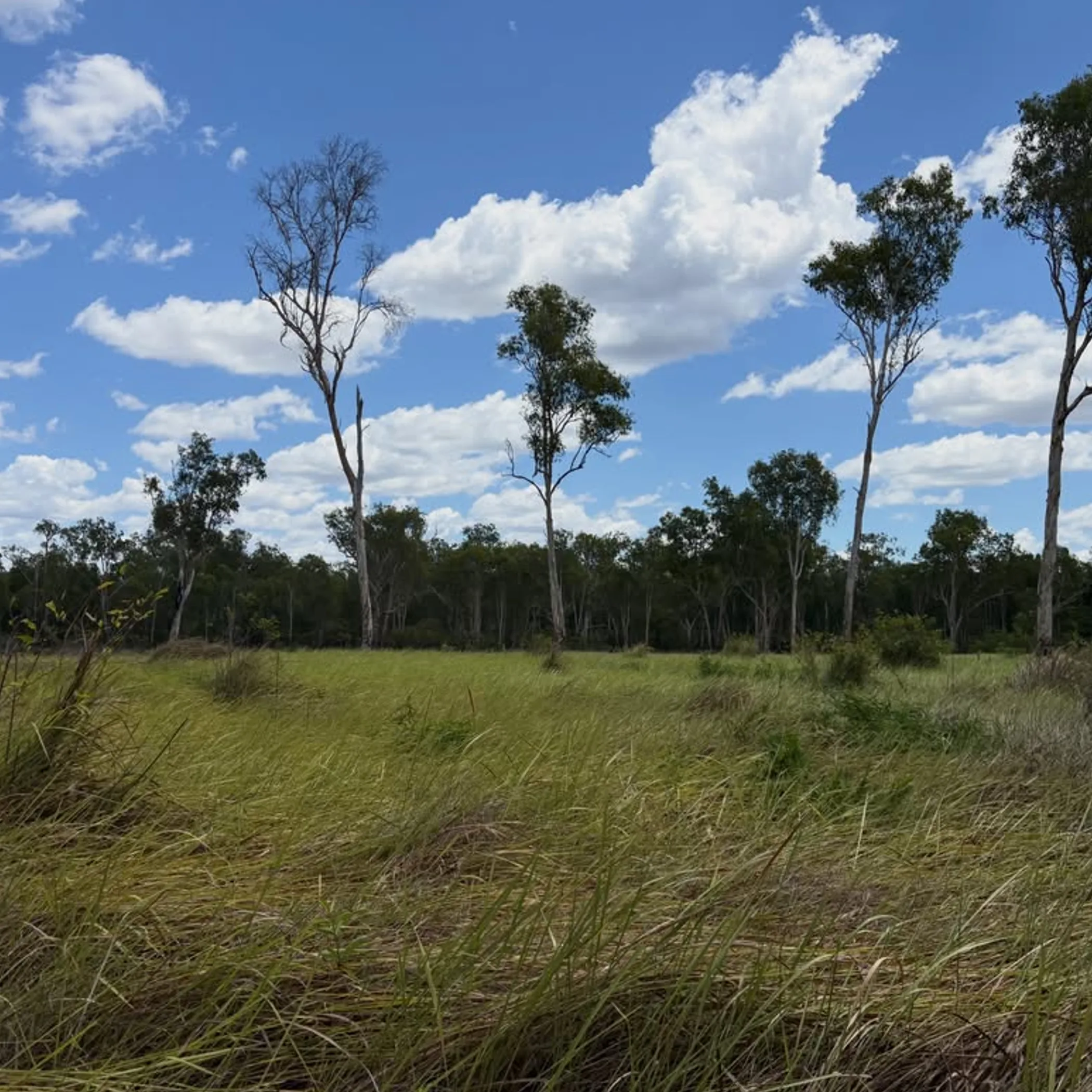 kakadu national park landscape
