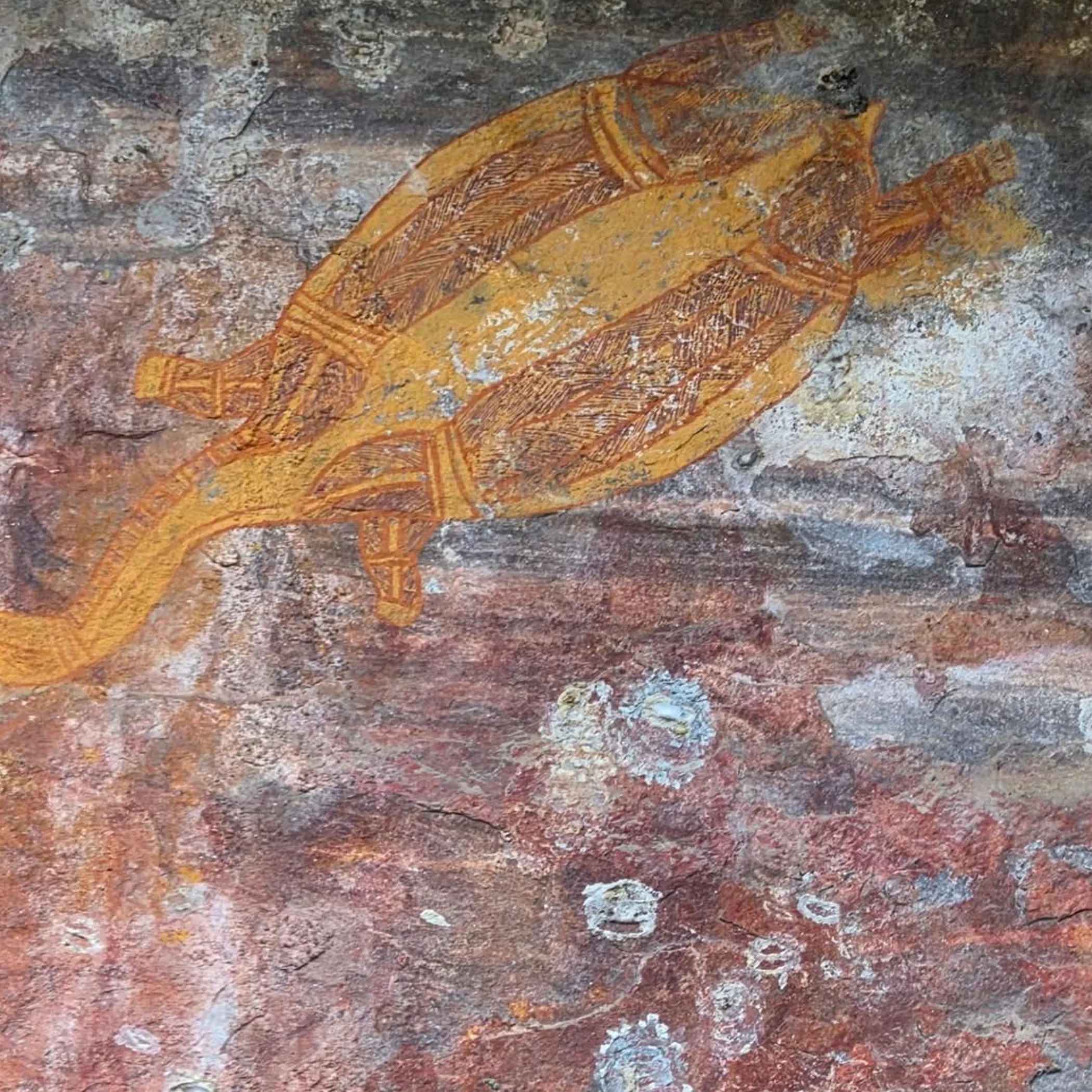 ubirr rock art in kakadu