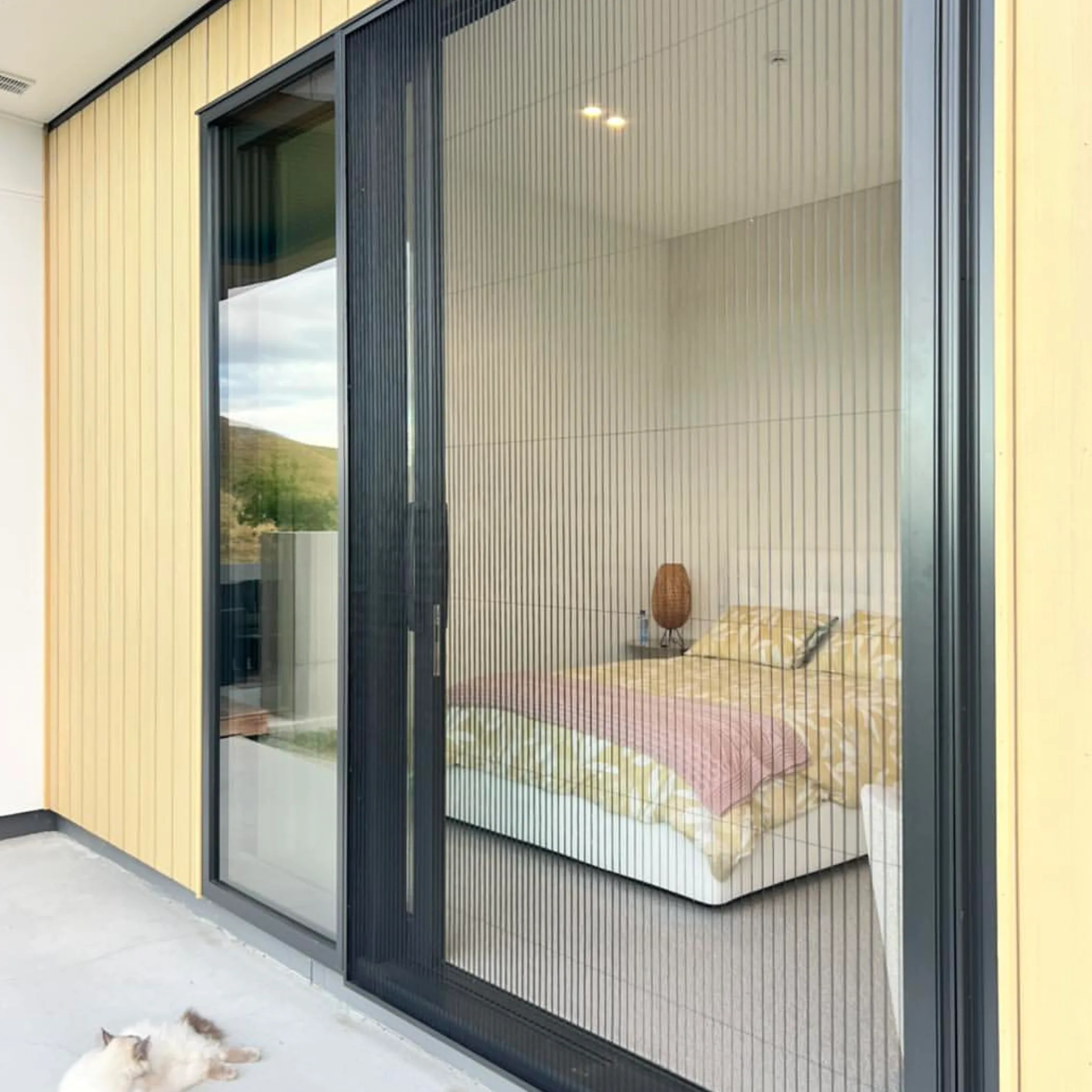 clean window mesh screen